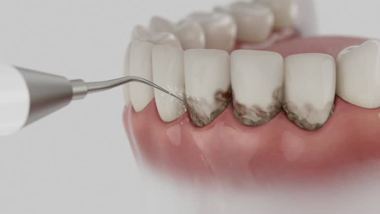Reliable Dental contractor in Presque Isle, ME by Dentist Open Now